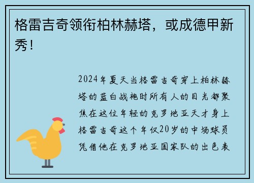 格雷吉奇领衔柏林赫塔，或成德甲新秀！